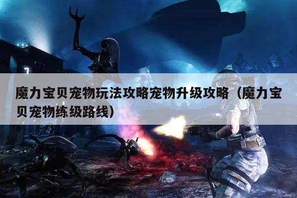 魔力宝贝宠物玩法攻略宠物升级攻略（魔力宝贝宠物练级路线）