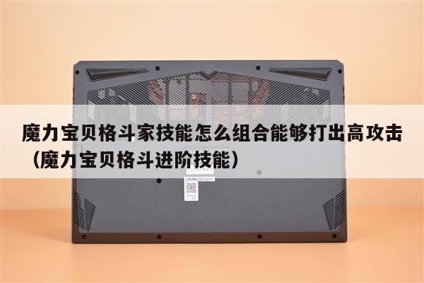 魔力宝贝格斗家技能怎么组合能够打出高攻击（魔力宝贝格斗进阶技能）