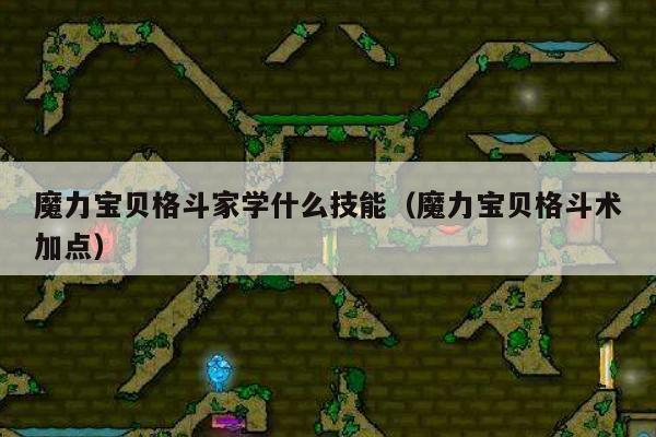 魔力宝贝格斗家学什么技能（魔力宝贝格斗术加点）
