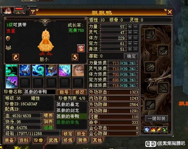 天龙八部怀旧服宠物选择_天龙八部怀旧服宠物选择哪个好