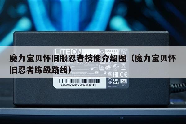 魔力宝贝怀旧服忍者技能介绍图（魔力宝贝怀旧忍者练级路线）